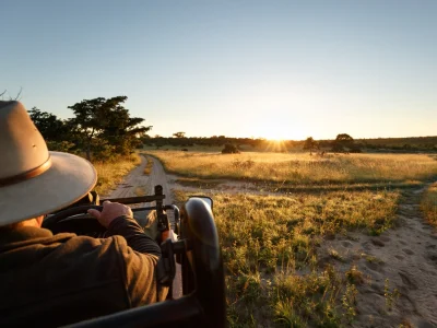 Safari in Sabi Sands Game Reserve