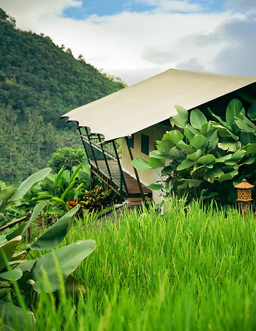Luxury tent in lush jungle amid rice fields and green mountains in Bali