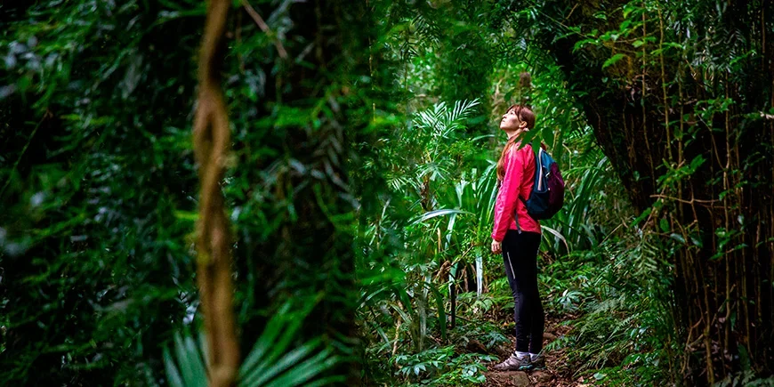 Women exploring Lamington National Park in Australia