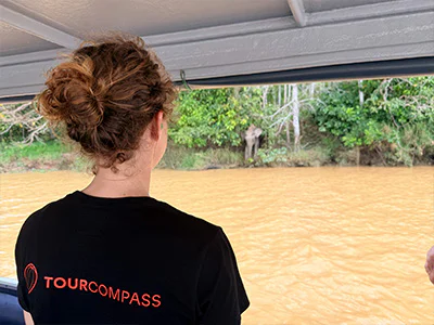 Jude from TourCompass watching elephants by the Kinabatangan River