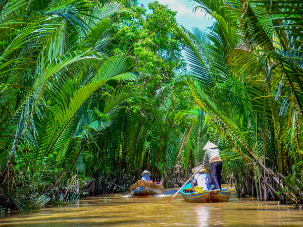 Paddle boats Mekong Delta Vietnam