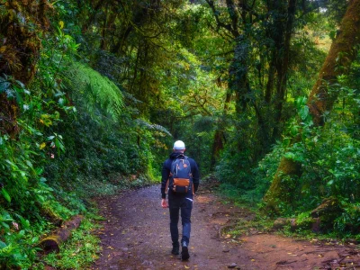 Man walking along a path in Monteverde, Costa Rica