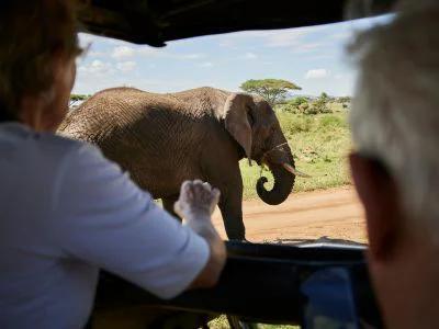 Two people watch an elephant from a safari vehicle