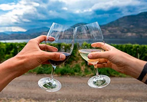 A couple toasting with wine in the Okanagan Valley, Canada