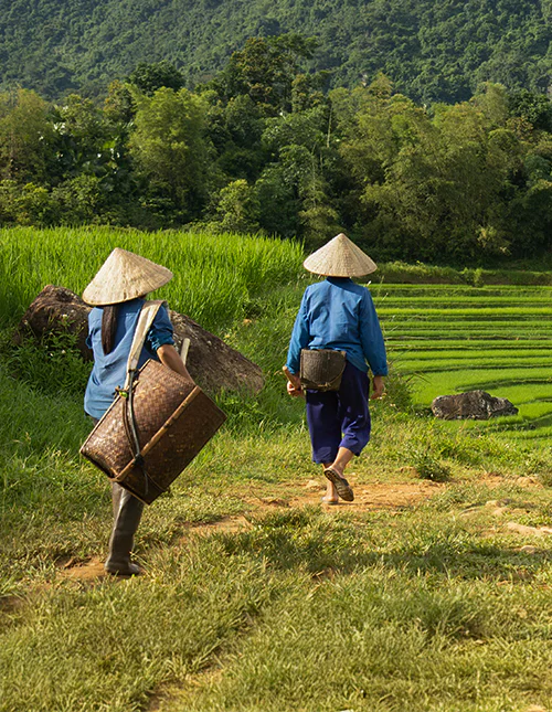 Two women heading out to work in the rice fields of Pu Luong Nature Reserve, Vietnam