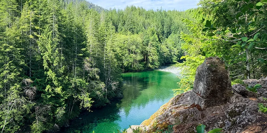 Beautiful scenery with green trees and a river on Vancouver Island in Canada