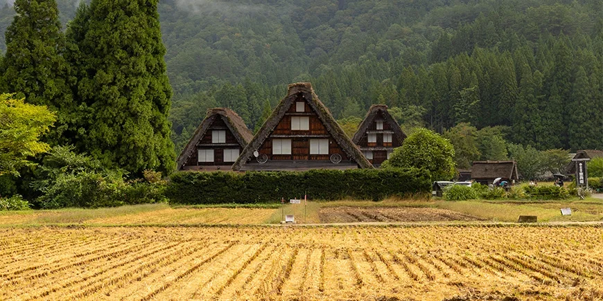The famous gassho-zukuri houses in Shirakawa-Go in the Japanese Alps