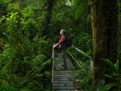 A man stands on a bridge in the Costa Rican jungle