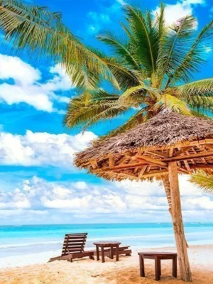 Tropical beach in Mombasa with palm trees and turquoise waters