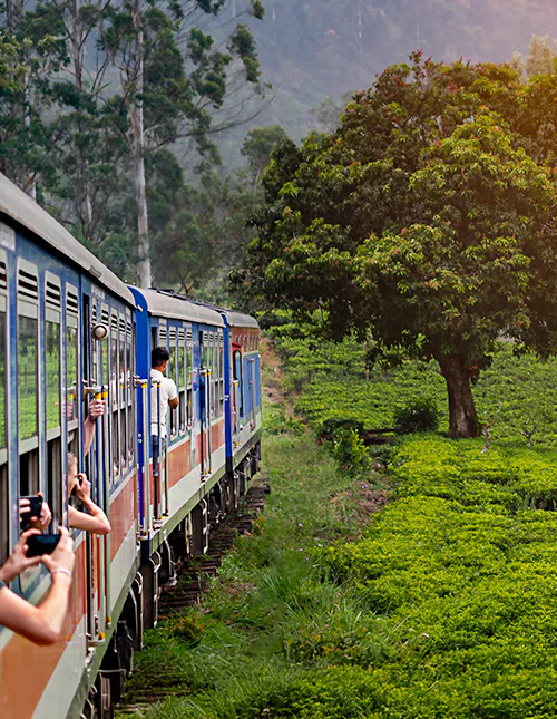Train from Nuwara Eliya to Kandy passing through tea plantations in Sri Lanka’s highlands