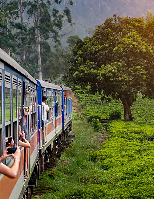 Train from Nuwara Eliya to Kandy passing through tea plantations in Sri Lanka’s highlands