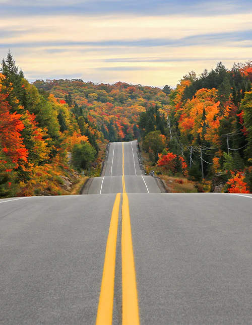 A stretch of road through Algonquin Provincial Park in autumn, Ontario, Canada