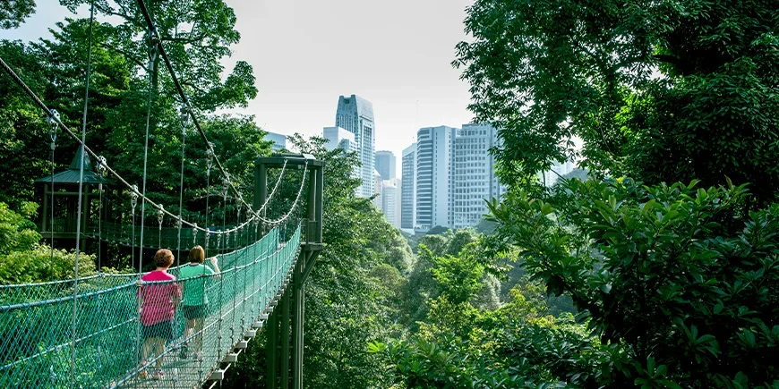Two women crossing a suspension bridge in KL Forest Eco Park, Kuala Lumpur