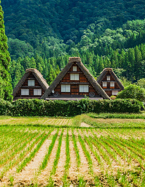 Shirakawa-go in autumn
