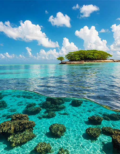 Photo of the beautiful turquoise-blue waters in Malindi Marine Park