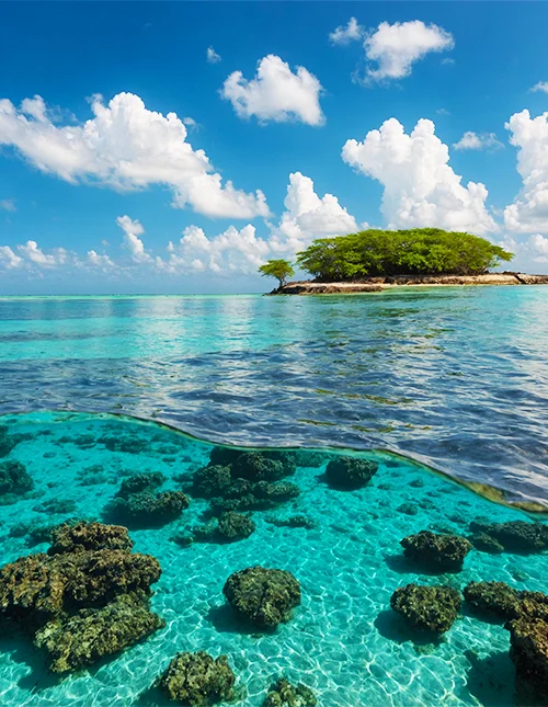 Photo of the beautiful turquoise-blue waters in Malindi Marine Park