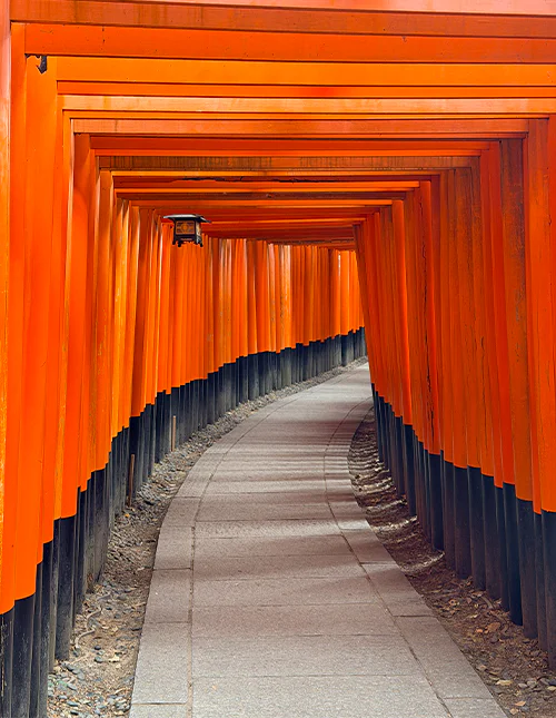 Torii gate at Fushimi Inari in Kyoto, Japan