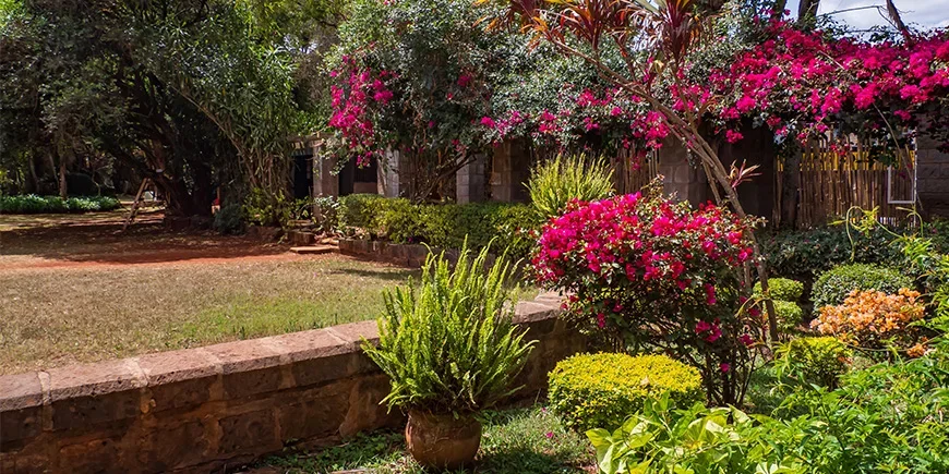 Flowers at Karen Coffee Garden