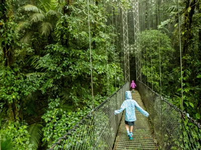 Children crossing a suspension bridge in Costa Rica in the rain