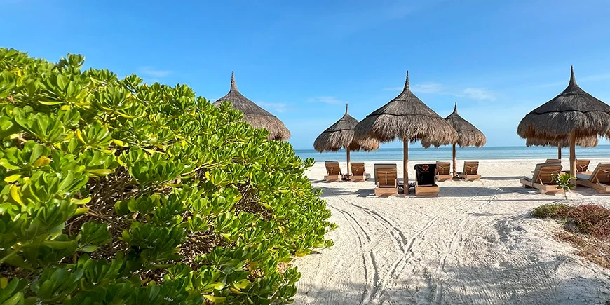 Beach chairs with a view on Isla Holbox