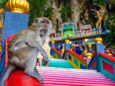 A monkey sits at the foot of the steps at Batu Caves in Malaysia