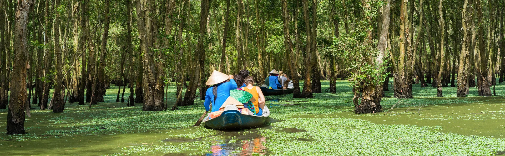 Boat trip through the lush Tra Su Forest in the Mekong Delta