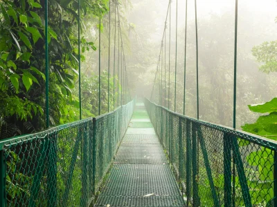 Suspension bridge in Monteverde