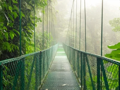 Suspension bridge in Monteverde