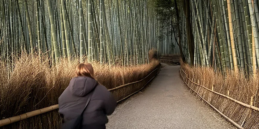 Woman walking through the Arashiyama Bamboo Forest in Kyoto