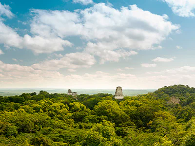 Overview of Tikal National Park with ruins and rainforest