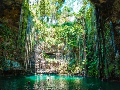 Light filters down through the Ik Kil cenote