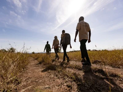 Group of people walking across the savannah in Tanzania