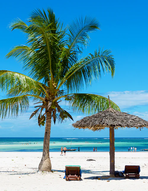 Beautiful palm-fringed white-sand beach in Mombasa