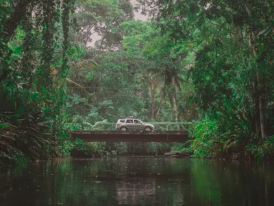 Car driving through the jungle in Costa Rica