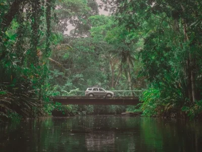 Car driving through the jungle in Costa Rica