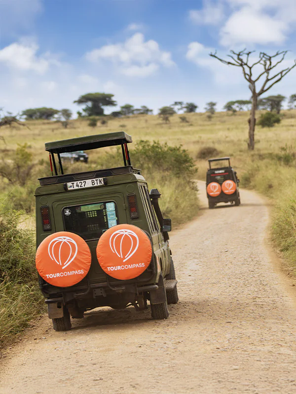 TourCompass jeep on safari in Africa
