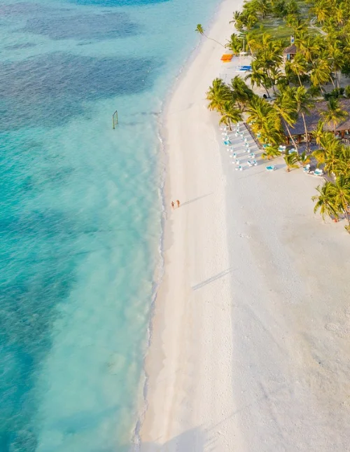 White sandy beach and turquoise sea with palm trees, seen from above