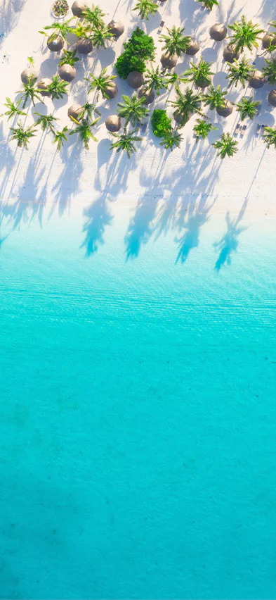 Beach on Zanzibar seen from a drone