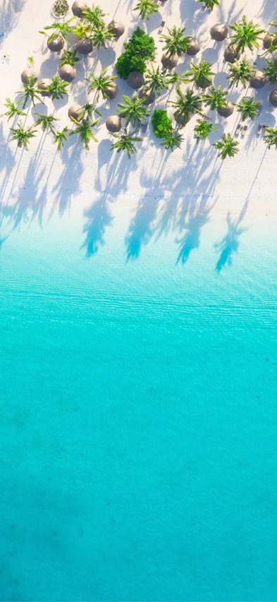 Beach on Zanzibar seen from a drone