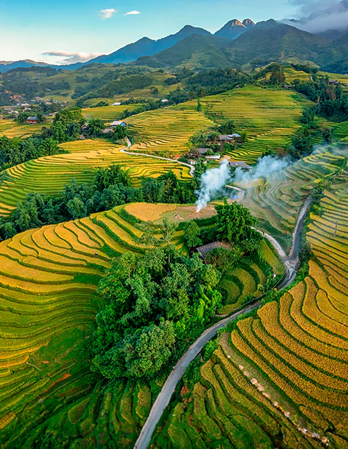 Aerial view of rice field or rice terraces , Sapa, Vietnam. 