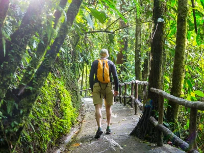 A man walking in one of Costa Rica’s lush green National Parks