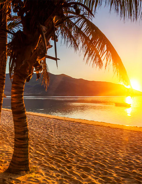 Beautiful palm-fringed beach in Mauritius at sunset