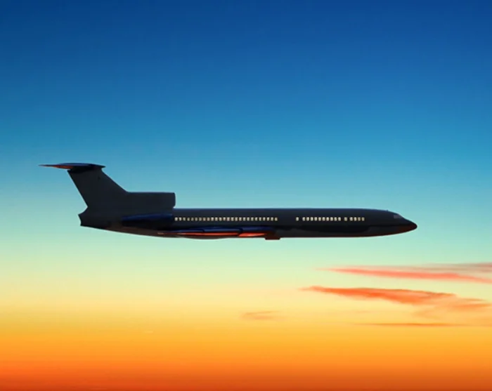 Fly in the sky at sunset