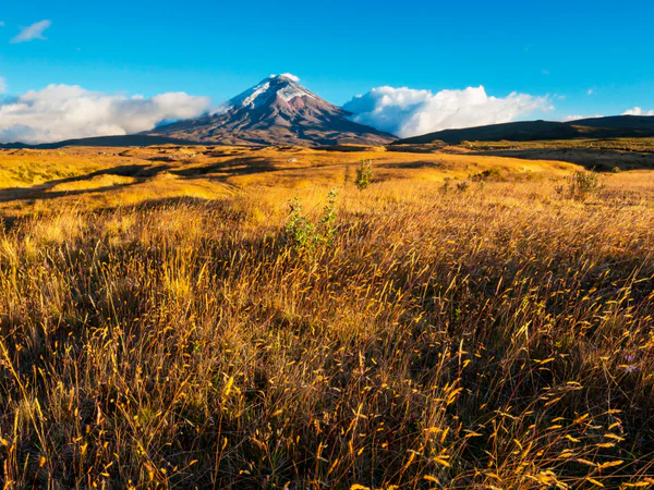 Cotopaxi volcano beneath blue skies