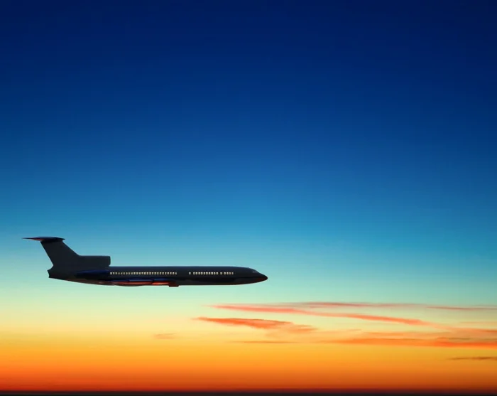 Fly in the sky at sunset