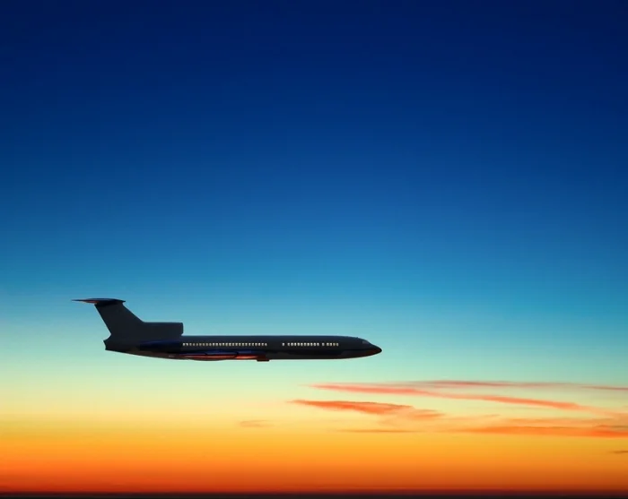 Fly in the sky at sunset