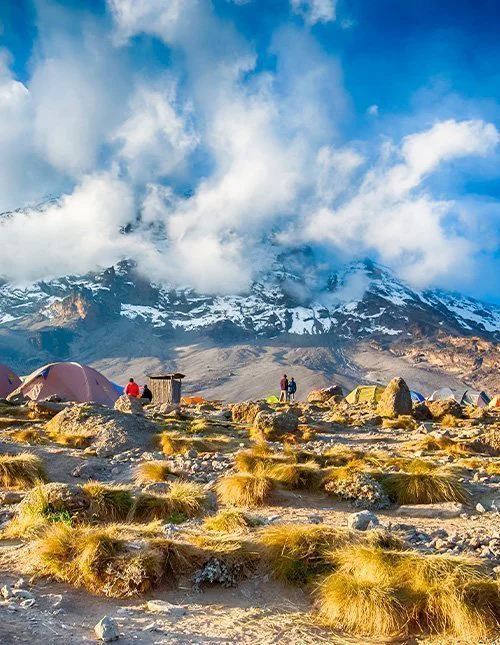 Tents at the base camp with Kilimanjaro’s snow-capped peak in the background.