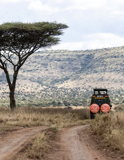 A safari vehicle bearing the TourCompass logo drives through the savannah.