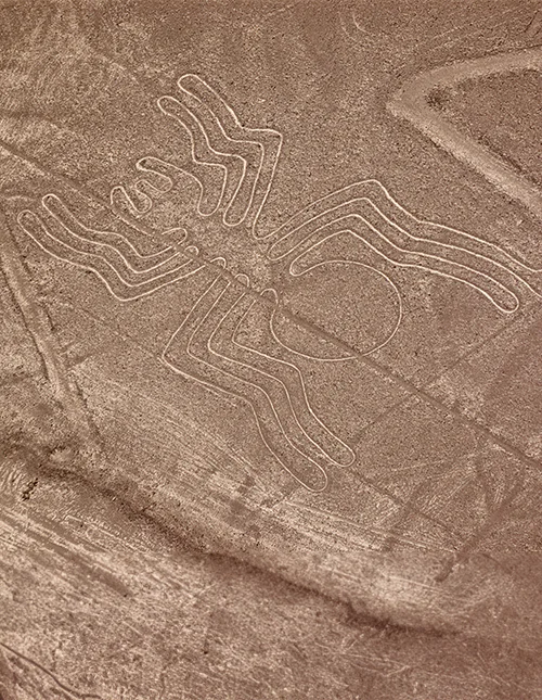 Nazca line in the desert shaped like a spider