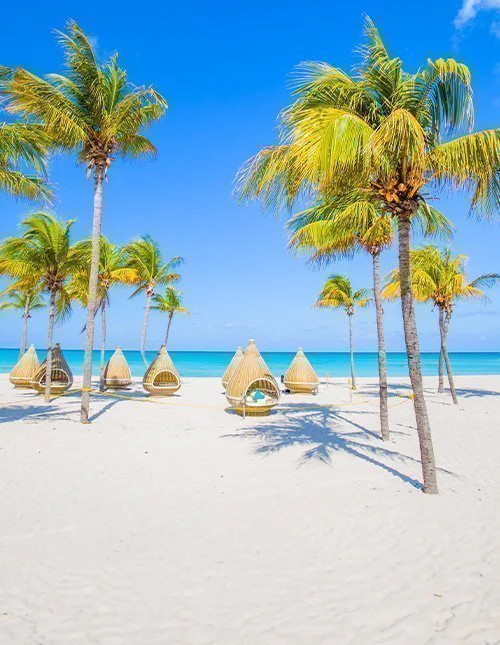 Beautiful palm-fringed beach in Varadero, Cuba